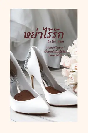 ปกนิยาย