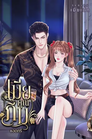 ปกนิยาย เมียคุณภีม (เซตเมียเด็ก) nc25+ อ่านฟรี