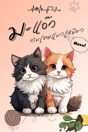 ปกนิยาย
