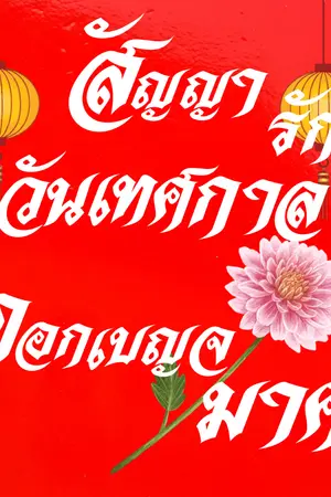 ปกนิยาย สัญญารักวันเทศกาลดอกเบญจมาศ