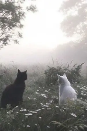 ปกนิยาย ห้วงฝันจันทรา