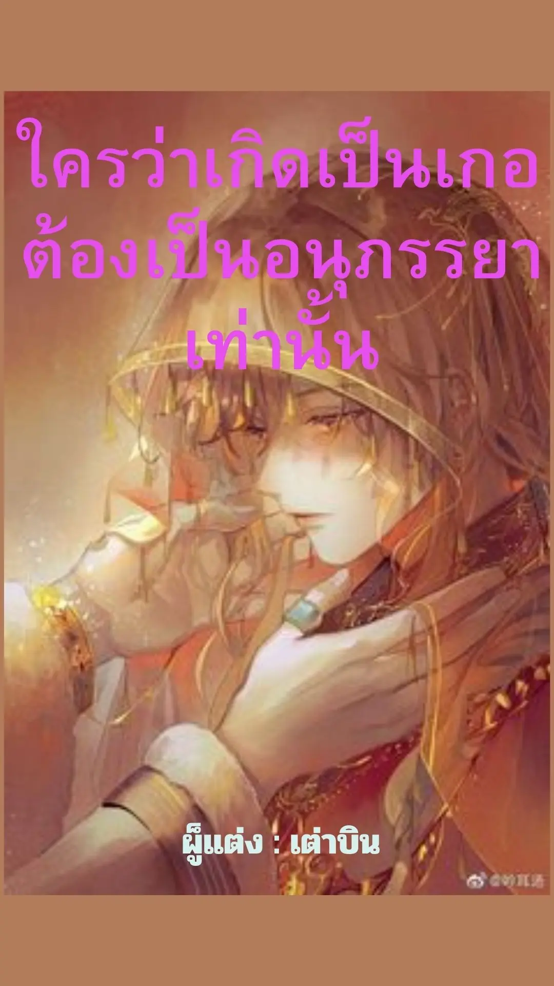 ปกนิยาย ใครว่าเกิดเป็นเกอต้องเป็นอนุภรรยาเท่านั้น