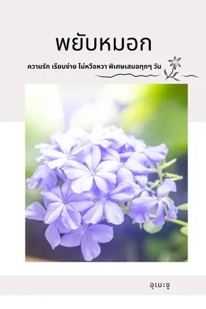 ปกนิยาย พยับหมอก