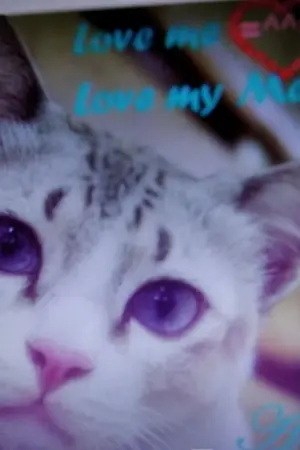 ปกนิยาย บอกแมวฉันหรือยัง? Love me Love my Meow