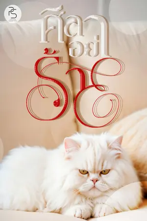 ปกนิยาย ศิลาอย่าร้าย  [มี E-Book]