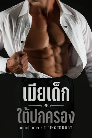 ปกนิยาย เมียเด็กใต้ปกครอง | มี E-Book จบแล้ว ใน meb