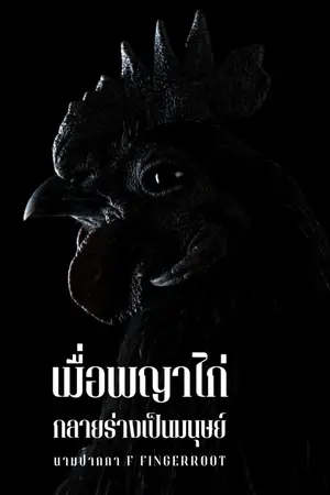 ปกนิยาย เมื่อพญาไก่กลายร่างเป็นมนุษย์ | มี E-Book ใน meb