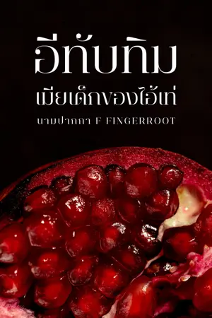 ปกนิยาย อีทับทิมเมียเด็กของไอ้เท่ | มี E-Book จบเรื่อง ใน meb