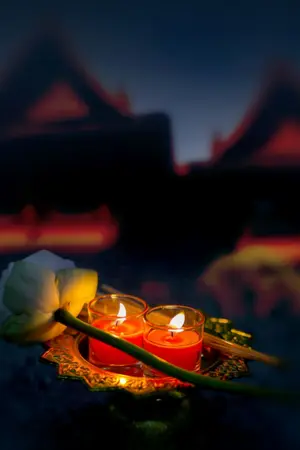 ปกนิยาย บ่วงอสงขัย