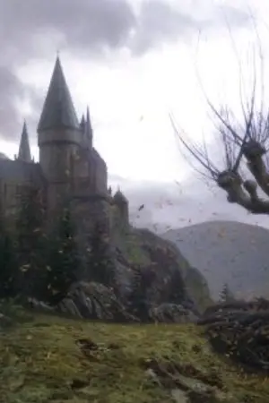 ปกนิยาย [Harry Potter ] The peculiar maiden from a foreign land.