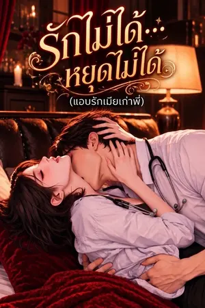 ปกนิยาย