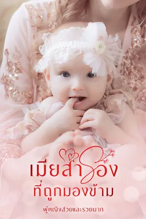 ปกนิยาย เมียสำรองที่ถูกมองข้าม | มี Ebook แล้ว