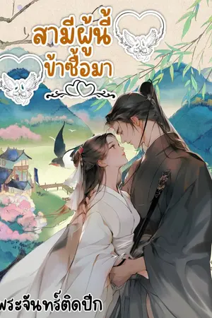 ปกนิยาย สามีผู้นี้ ข้าซื้อมา