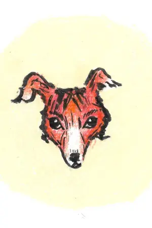 ปกนิยาย แคชทังกา (Kashtanka) ของ อันตอง เชคอฟ