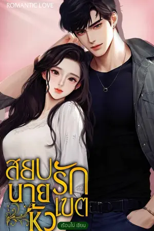 ปกนิยาย