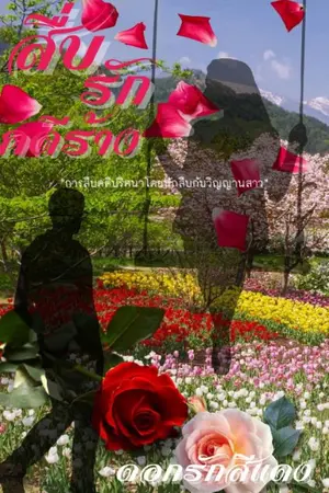 ปกนิยาย สืบรักคดีร้าง