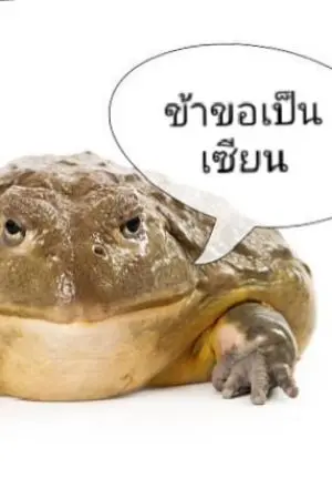 ปกนิยาย กบแบบข้านี่แหละจะเป็นเทพเซียน