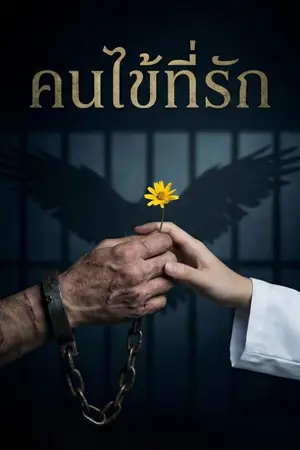 ปกนิยาย คนไข้ที่รัก The Patient in Room 404