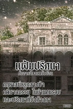 ปกนิยาย แฟ้มปริศนา กับการสืบสวนซับซ้อน