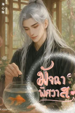 ปกนิยาย มัจฉาพิศวาศ