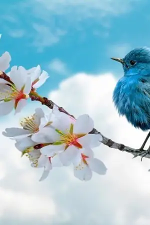 ปกนิยาย ตื่นมาอีกครั้ง ดันเป็นเพื่อนนางเอก ซะงั้น