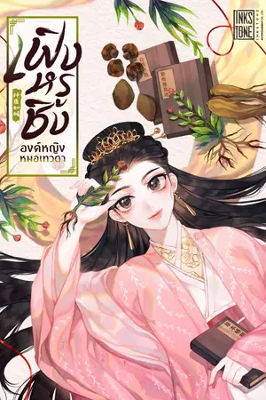 ปกนิยาย เฟิงหรูชิง องค์หญิงหมอเทวดา (นิยายแปล)