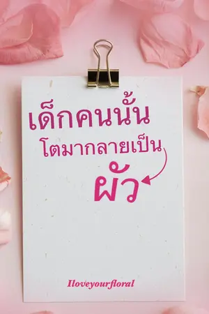 ปกนิยาย