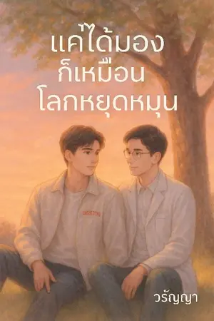 ปกนิยาย แค่ได้มอง ก็เหมือนโลกหยุดหมุน