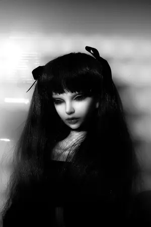 ปกนิยาย [MHAxf!reader] The puppet