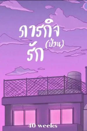 ปกนิยาย ภารกิจป่วนรัก