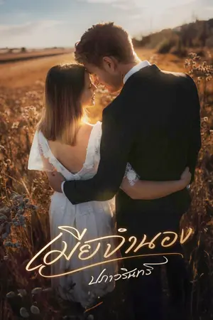 ปกนิยาย เมียจำนอง