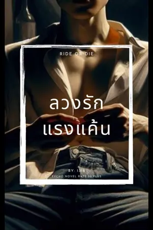 ปกนิยาย