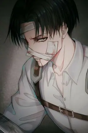 ปกนิยาย apologize {Levi xoc}