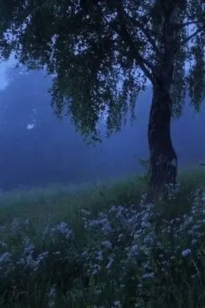 ปกนิยาย Thank You For Everything [FIC ONE PIECE]