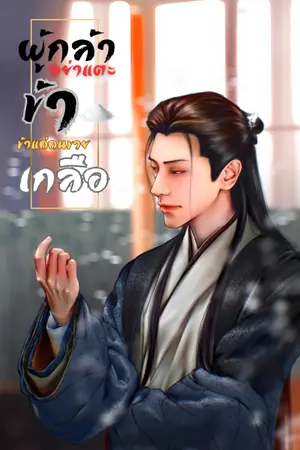 ปกนิยาย ผู้กล้าอย่าแตะข้า ข้าแค่คนขายเกลือ