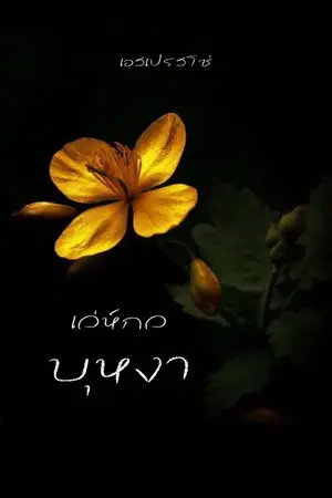 ปกนิยาย