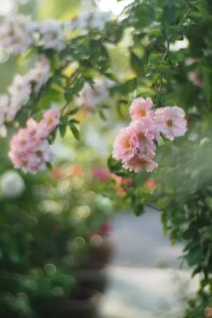 ปกนิยาย ใยรักสองภพ