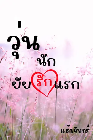 ปกนิยาย วุ่นนัก ยัยรักแรก (THE FIRST LOVE)​