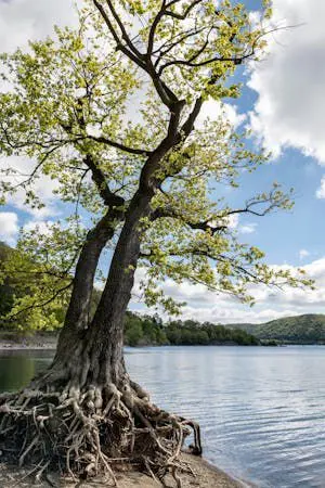 ปกนิยาย คนของใจยังไงก็เป็นเธอ