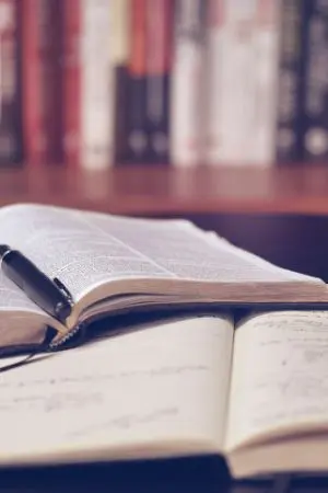 ปกนิยาย ตะวันสาดแสง