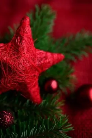 ปกนิยาย ก่อนจะเริ่มรัก