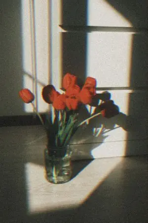 ปกนิยาย ยอดดวงใจเสน่หา