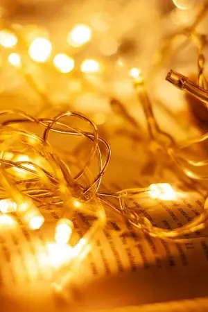 ปกนิยาย องครักษ์พิทักษ์องหญิง