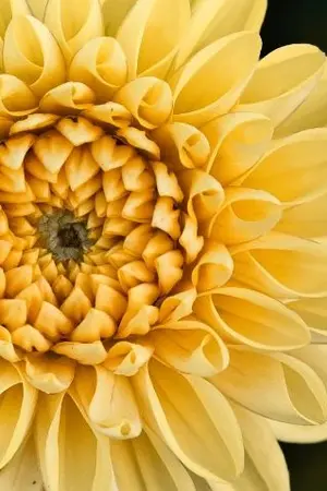 ปกนิยาย ค่ำคืนแห่งวสันต์