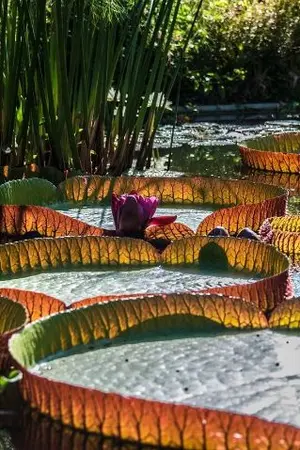 ปกนิยาย จังหวะร้ายจังหวะรัก