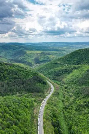 ปกนิยาย พุ่มพงษ์พฤกษ์