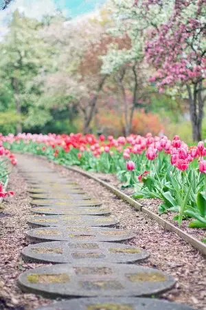 ปกนิยาย เร้นรักสลับร่าง