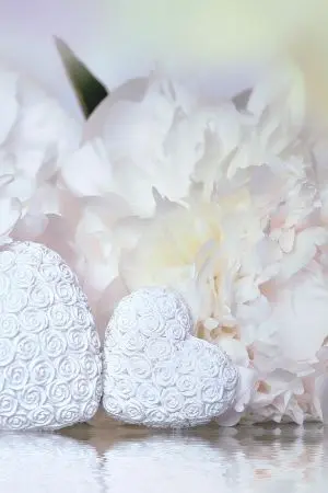 ปกนิยาย สุดฟ้าปลายฝัน