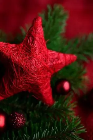 ปกนิยาย เริงรักหัวใจร้าย