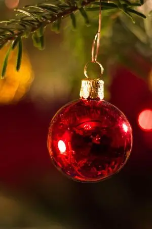 ปกนิยาย บอกแล้วไงว่าไม่รักเธอ